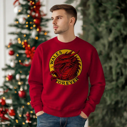Wales Forever Red Dragon Sweatshirt – Circle Emblem - Celtic Wolfwear