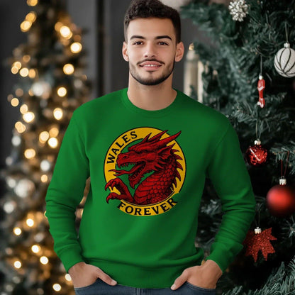 Wales Forever Red Dragon Sweatshirt – Circle Emblem - Celtic Wolfwear