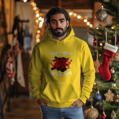 Welsh Dragon Hoodie - Red Pullovers Heritage Streetwear - Celtic Wolfwear
