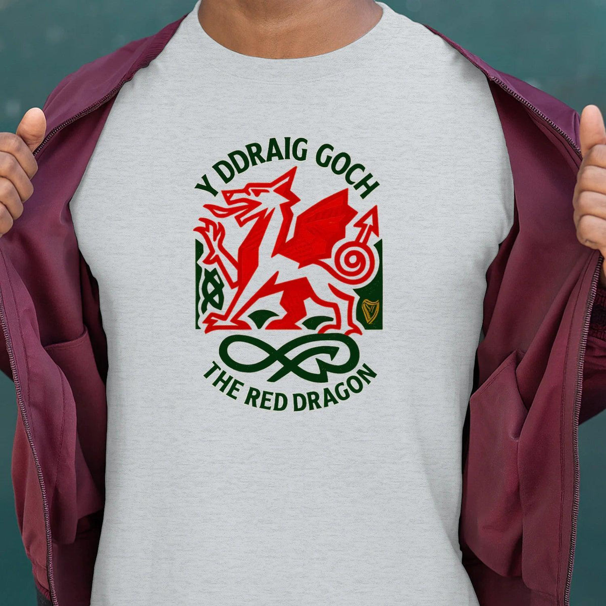 Welsh Dragon T-Shirt - Red Crest Design 02, Unisex - Celtic Wolfwear