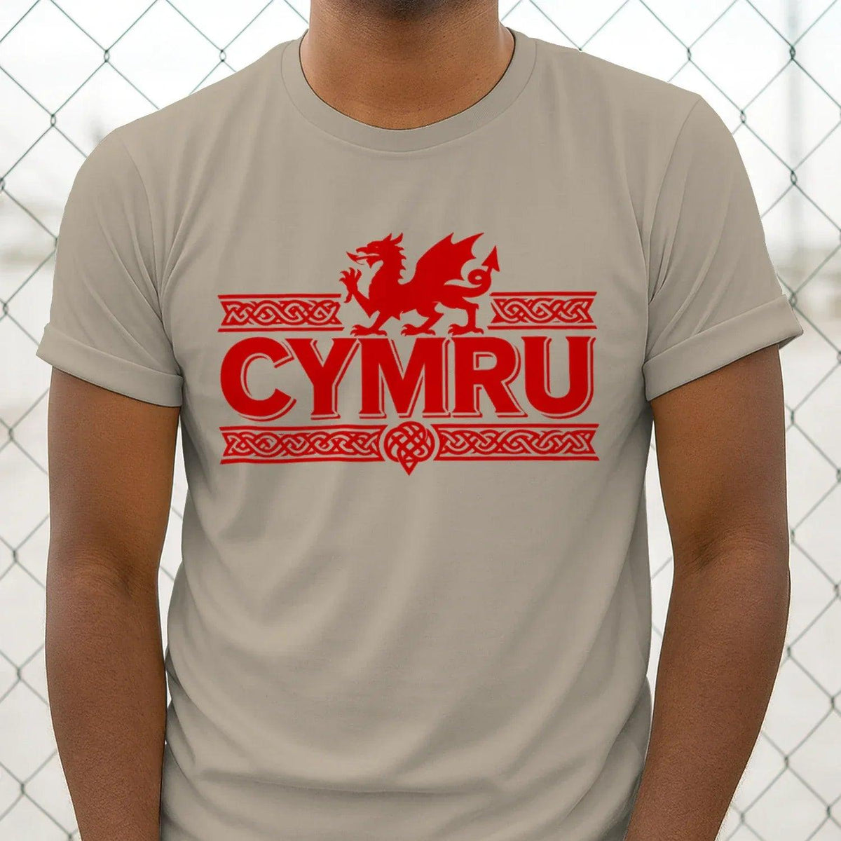 Light gray crewneck T-shirt with red dragon and 'CYMRU' front graphic