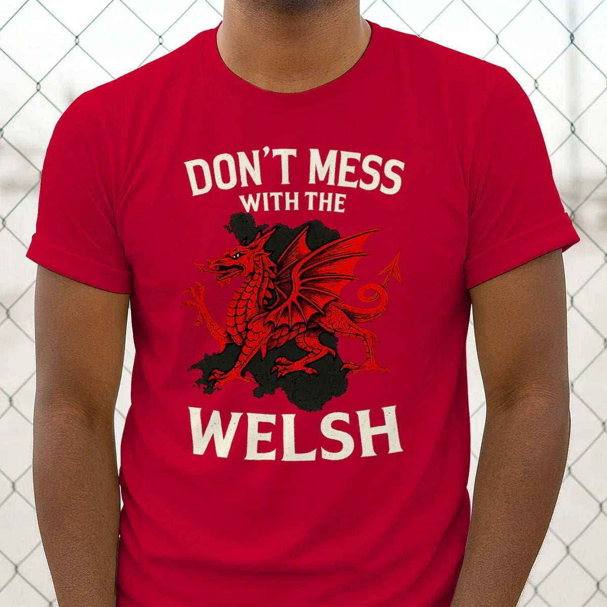 Men's Wales dragon t-shirt in red, crew-neck with dragon and 'WELSH' print.