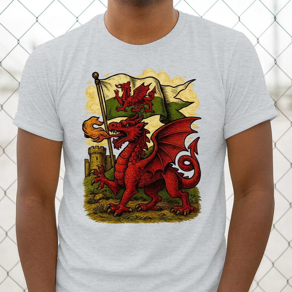 Men's T-shirt, light gray, front dragon flag graphic with red and gold details