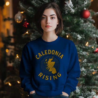 {"origin":"mayzing","colors":["Royal Blue","Royal Blue","Royal Blue","Royal Blue","Royal Blue","Royal Blue"],"sizes":["3XL","2XL","XL","L","M","S"],"isMainImage":false}