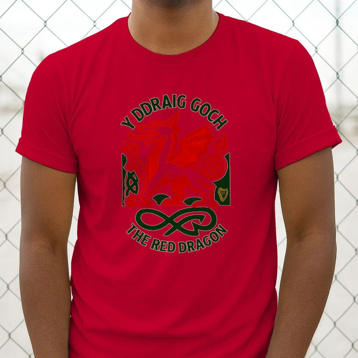 Red dragon crest graphic T-shirt with 'The Red Dragon' text