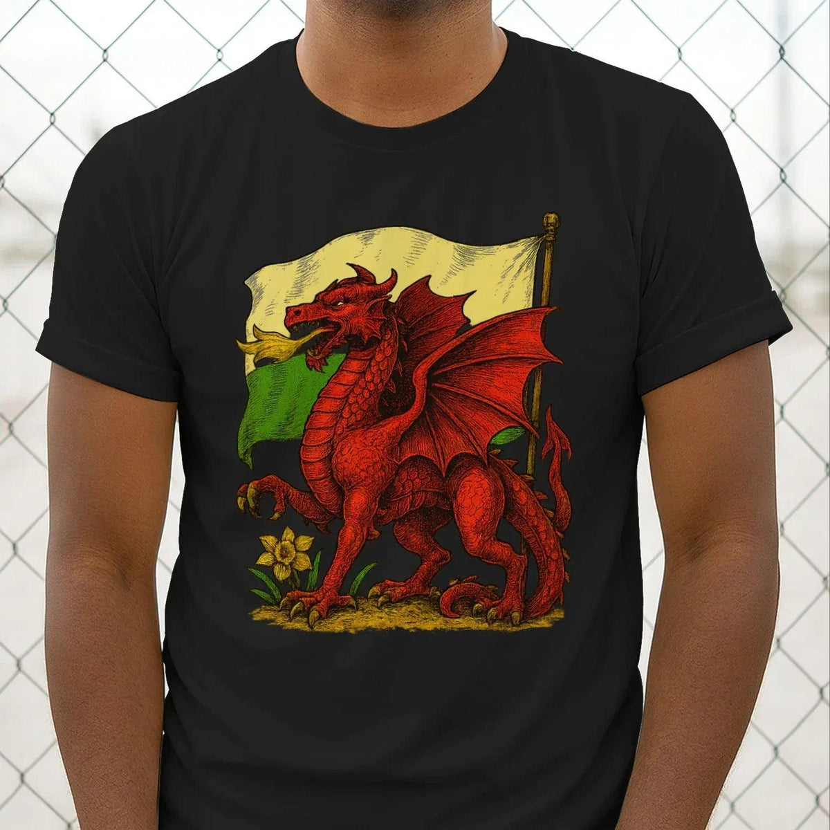 Men's classic graphic t-shirt, black; red dragon with Wales flag flag-barrow print on chest