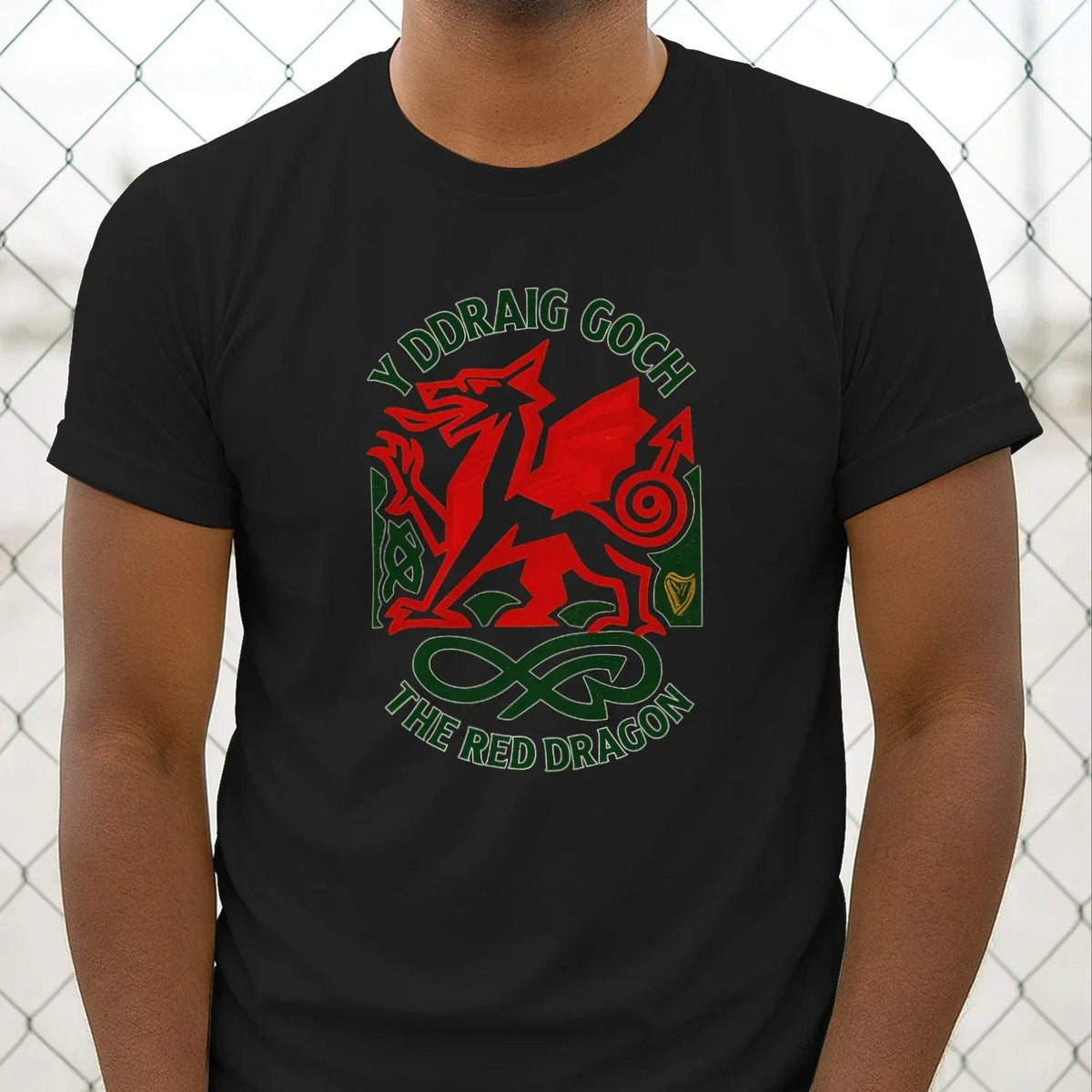 Black dragon crest graphic T-shirt, crew neck, short sleeves