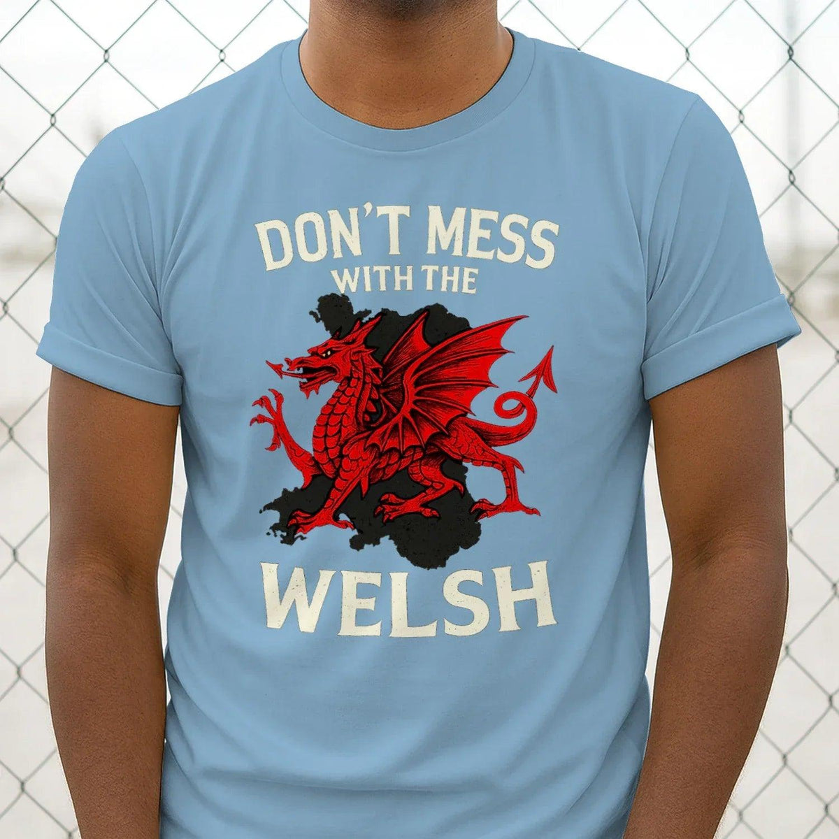 Light blue T-shirt front with red Welsh dragon and 'DON'T MESS WITH THE WELSH' print