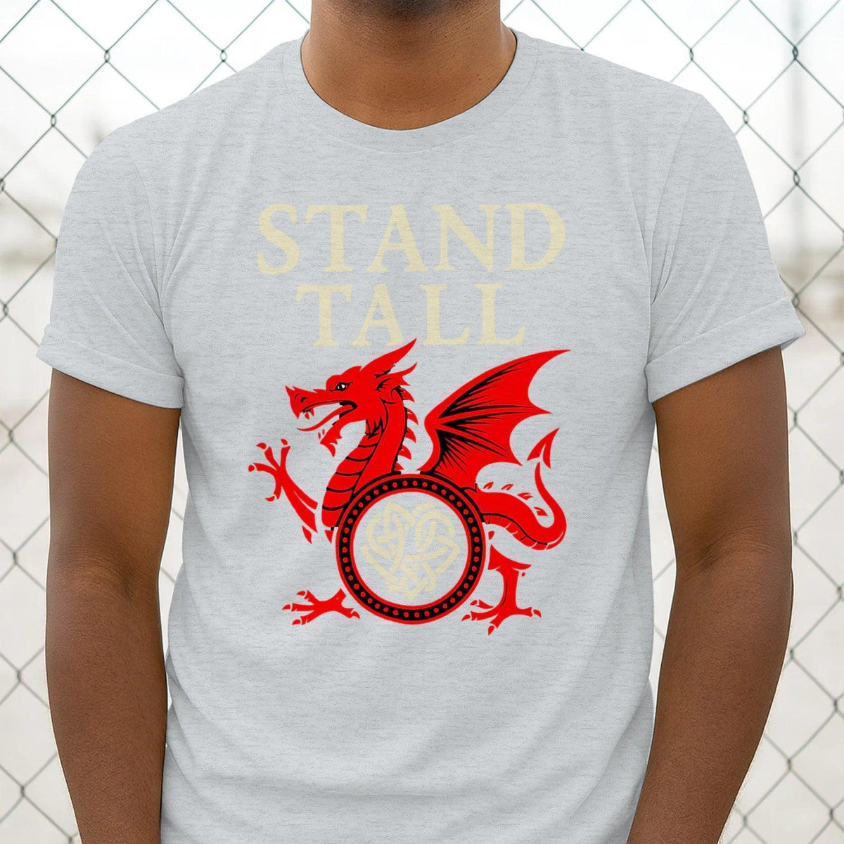 Light gray crew-neck T-shirt with Stand Tall lettering and red dragon emblem