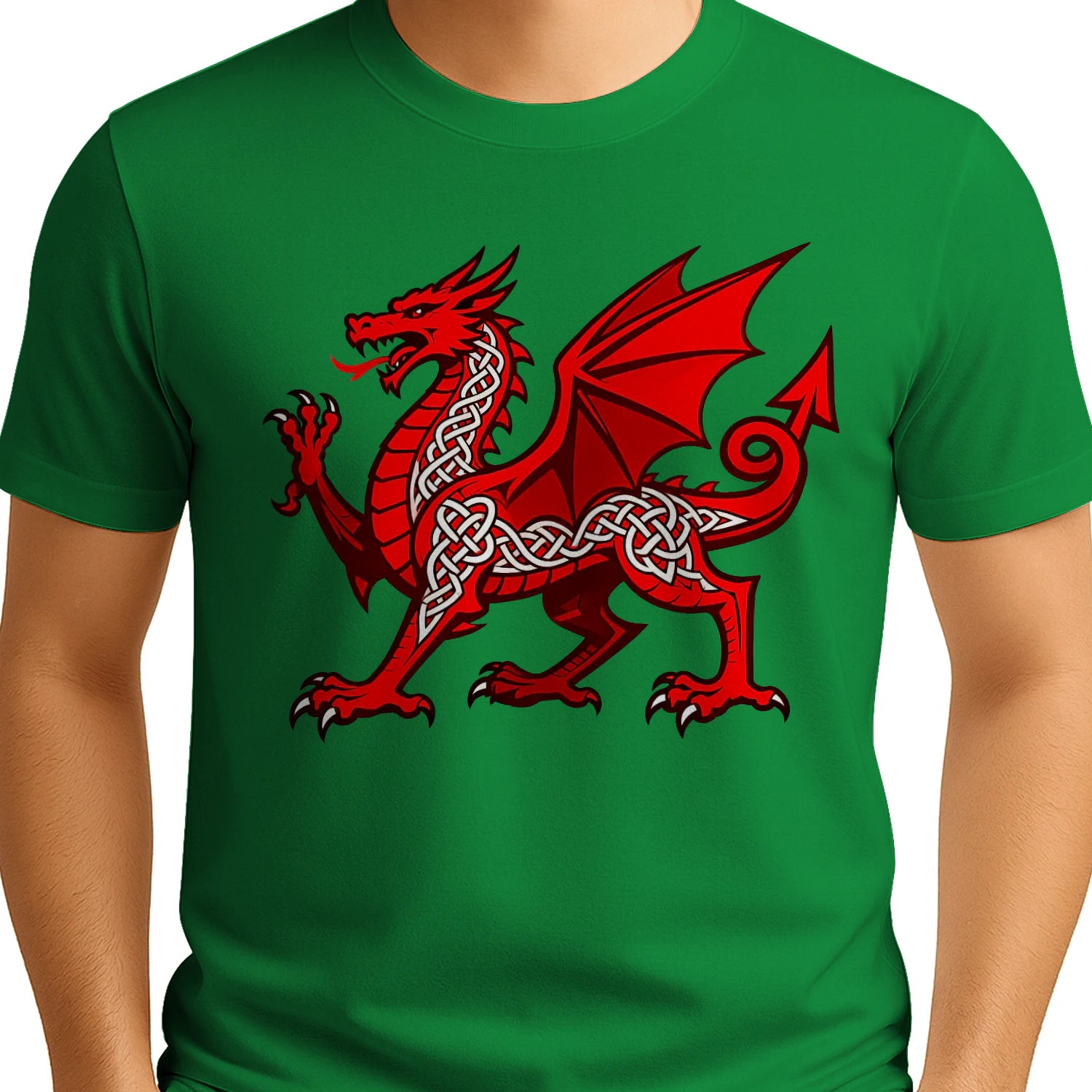 {"origin":"mayzing","colors":["Irish Green","Irish Green","Irish Green","Irish Green","Irish Green","Irish Green","Irish Green","Irish Green"],"sizes":["5XL","4XL","3XL","2XL","XL","L","M","S"],"isMainImage":false}