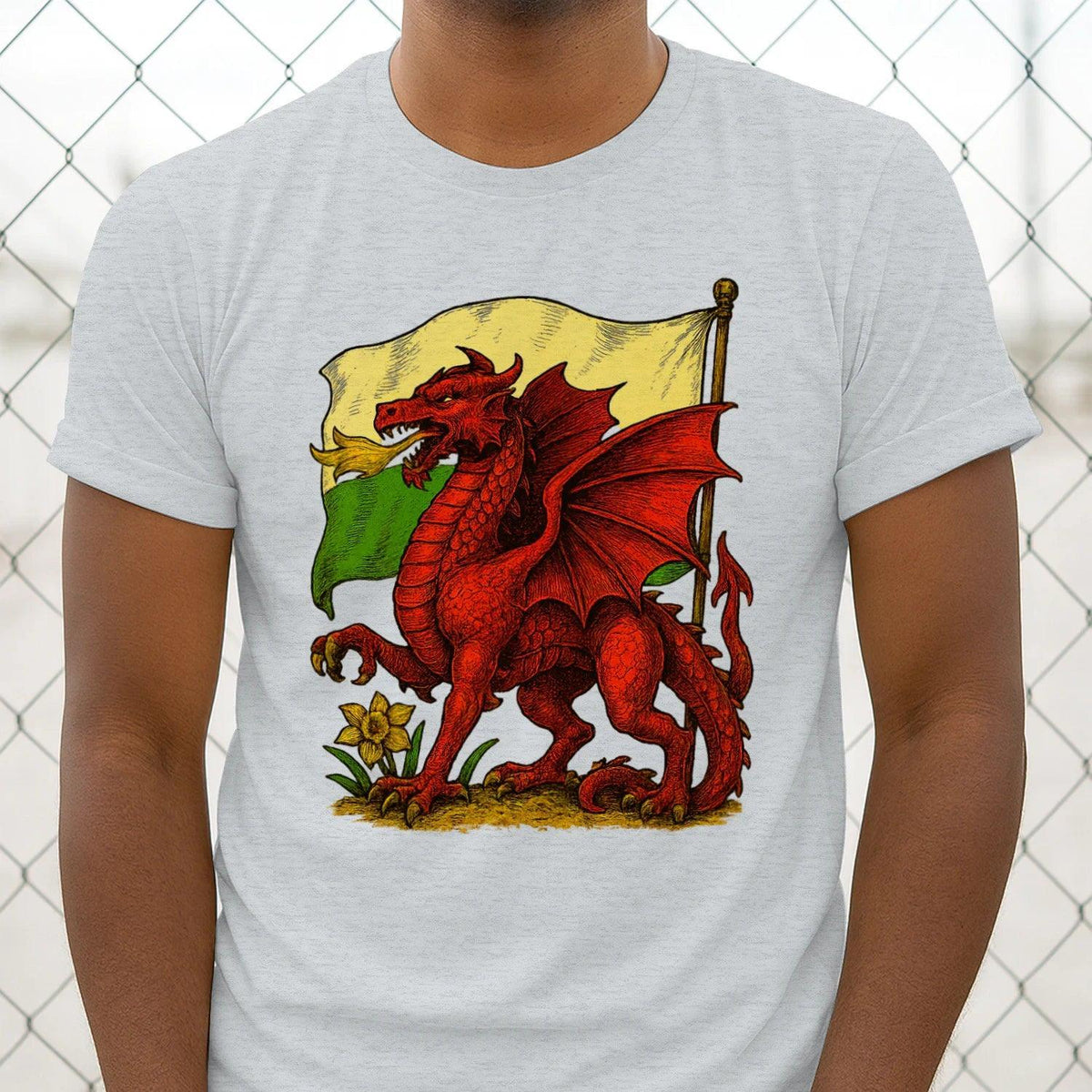 Men's classic graphic t-shirt, light gray; red dragon with Wales flag chest print